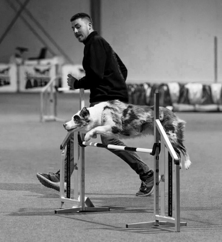 Hobby | honden trainen