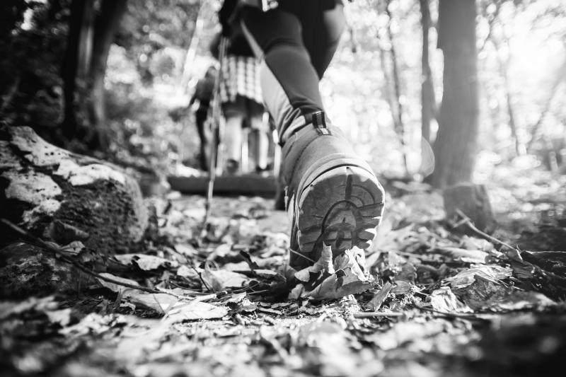 Hobby | familie & wandelen